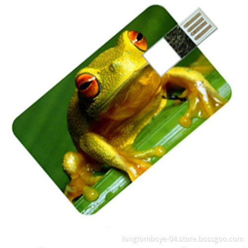 Promotion Gift Slim USB Flash Drive
